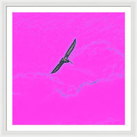 Black Birdie In Pink Sky - Framed Print