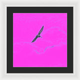 Black Birdie In Pink Sky - Framed Print
