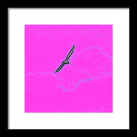 Black Birdie In Pink Sky - Framed Print