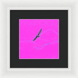 Black Birdie In Pink Sky - Framed Print
