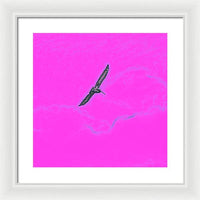 Black Birdie In Pink Sky - Framed Print