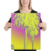 Canvas